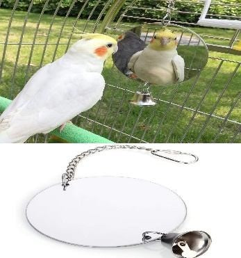 Mirror small Bird Toy