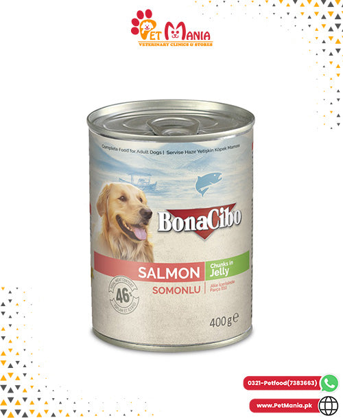 Bonacibo Adult Dog Salmon - Chunks in Jelly 400 g Canned