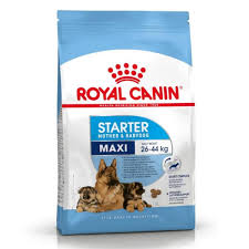 ROYAL CANIN MAXI STARTER ADULT DOG 4KG BAG