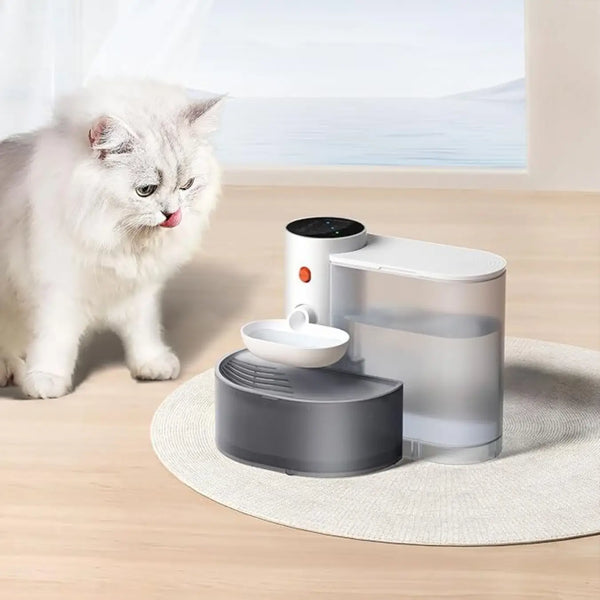 PET GRAVITY SMART SELF-REFILL WATER FOUNTAIN