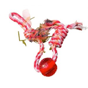 Ferplast Porcospino Squeak Me -  PA 5530