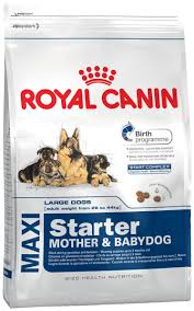 ROYAL CANIN MAXI STARTER ADULT DOG 15KG BAG