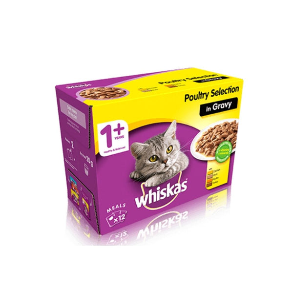 Whiskas Kitten Poultry Feast in Jelly 85 g Pouch